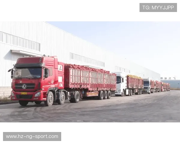 新疆广汇集团发展战略与产业布局探析及未来前景展望