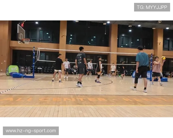 杭州排球队的力量解析与发展潜力探讨